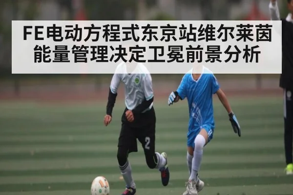 FE电动方程式东京站维尔莱茵能量管理决定卫冕前景分析