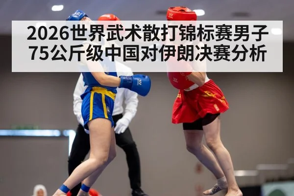 2026世界武术散打锦标赛男子75公斤级中国对伊朗决赛分析