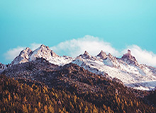 意甲联赛上演“中国德比” 朱婷庄宇珊奉献精彩对决